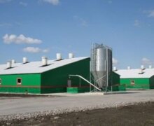 Свинокомплекс «Уральский»